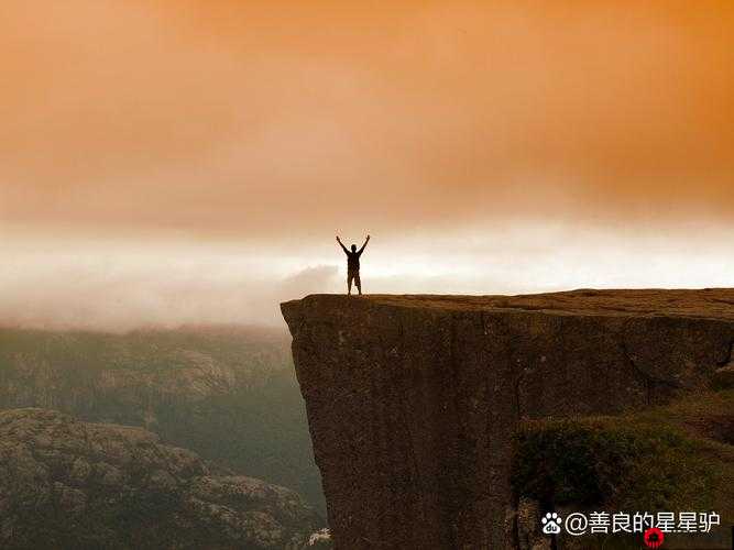 折腾了一个多小时才弄出来的豆浆：背后的艰辛与坚持